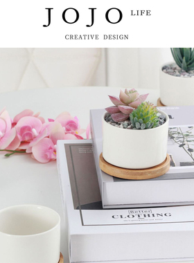 JOJO'S L. PD.Hongdian.陶瓷多肉植物花盆矮圆柱白瓷盆 | 弘甸