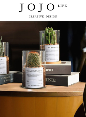 JOJO'S L. PD.Summon.绿植仙人掌防辐射桌面办公室仙人球 | 召簸