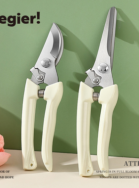 JOJO'S L. PD.Cegier.修枝剪全套园艺弯头花园剪刀摘果弹簧 |谛伺