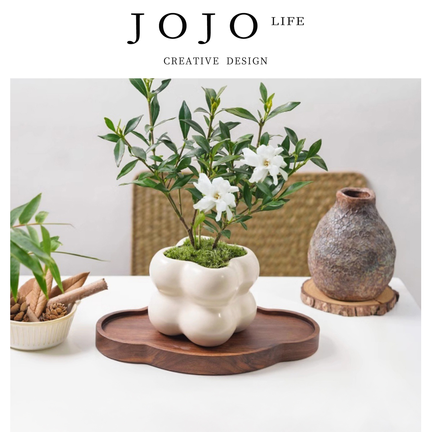 JOJO'SLIFEPD绿植小叶好栀子花