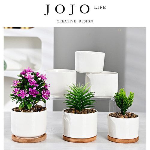 JOJO'SLIFEPD花盆多肉简约摆件