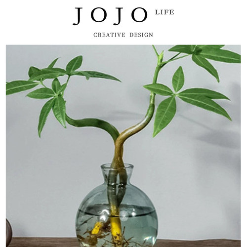 JOJO'SLIFEPD绿植招财内摆件养