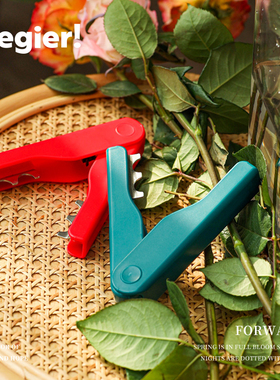 JOJO'S L. PD.Cegier.去刺钳玫瑰花打刺钳去刺器花店玫瑰 | 瞻谛