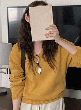 韩国直邮Heylady秋时尚气质百搭通勤宽松V领长袖针织衫毛衣女