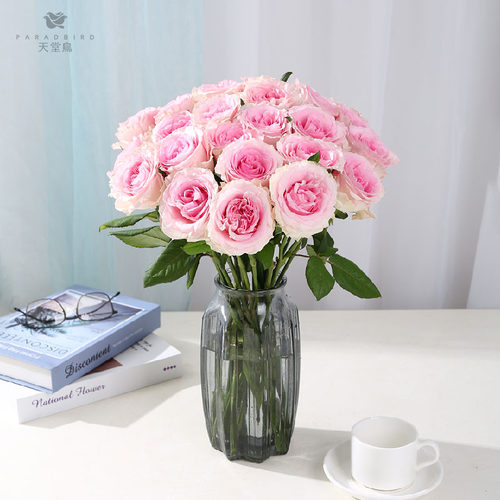 AB级稀有玫瑰花鲜花云南基地直发