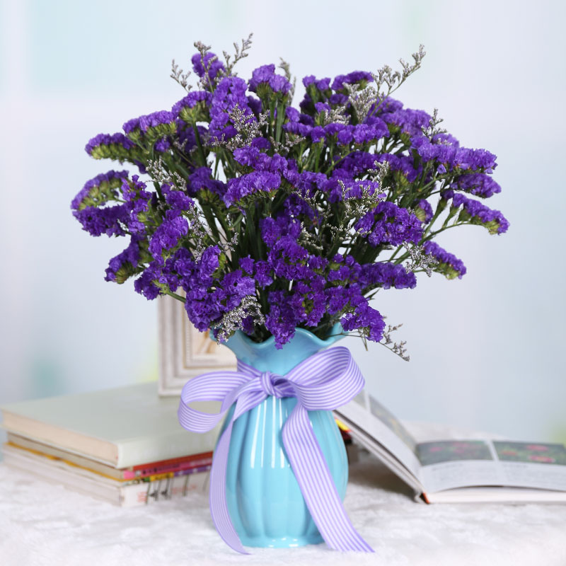 勿忘我鲜切花水养鲜花