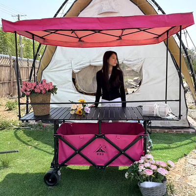 摆摊车露营车户外夜市移动手推车