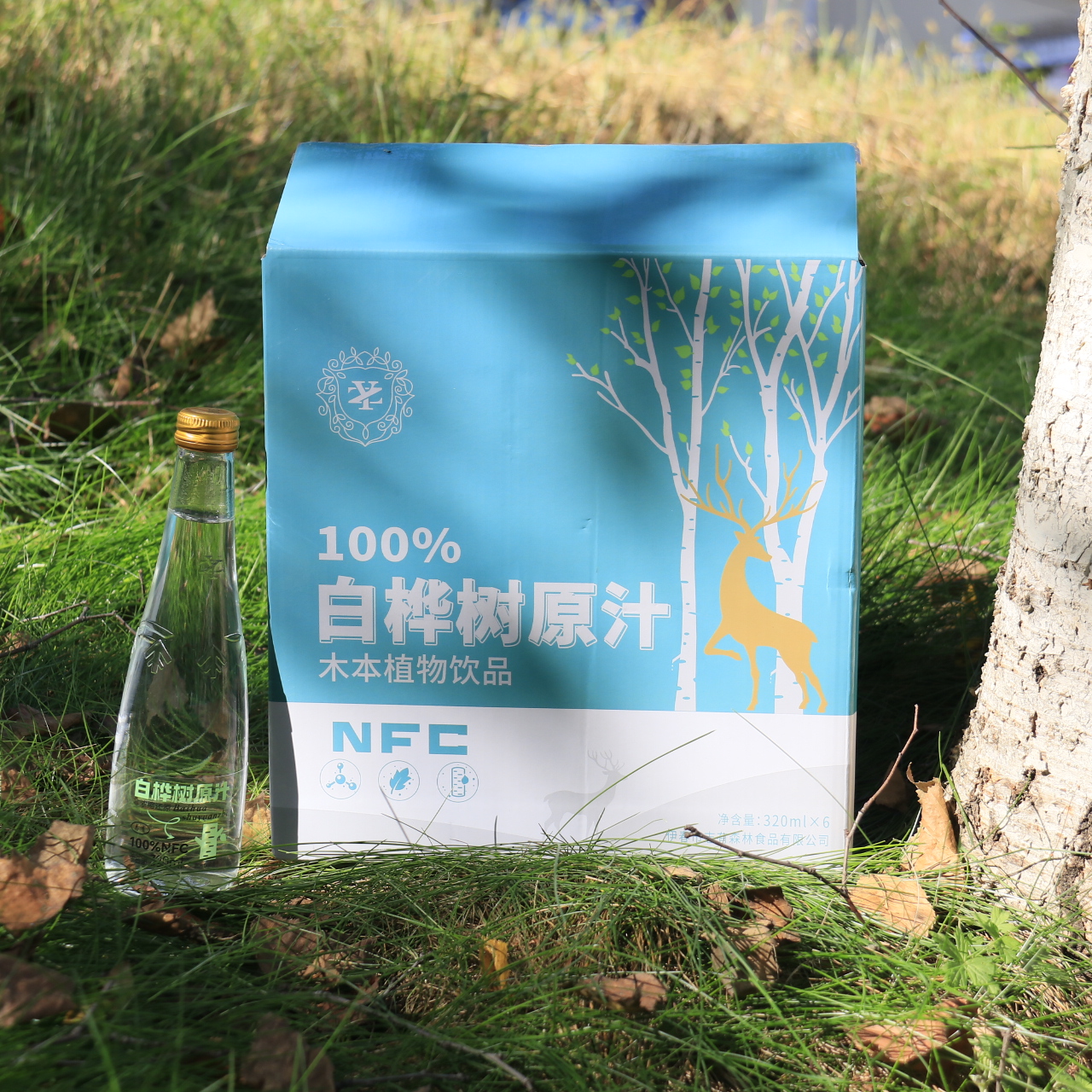 东北特产伊春志有白桦树原汁饮料320ml6瓶包邮