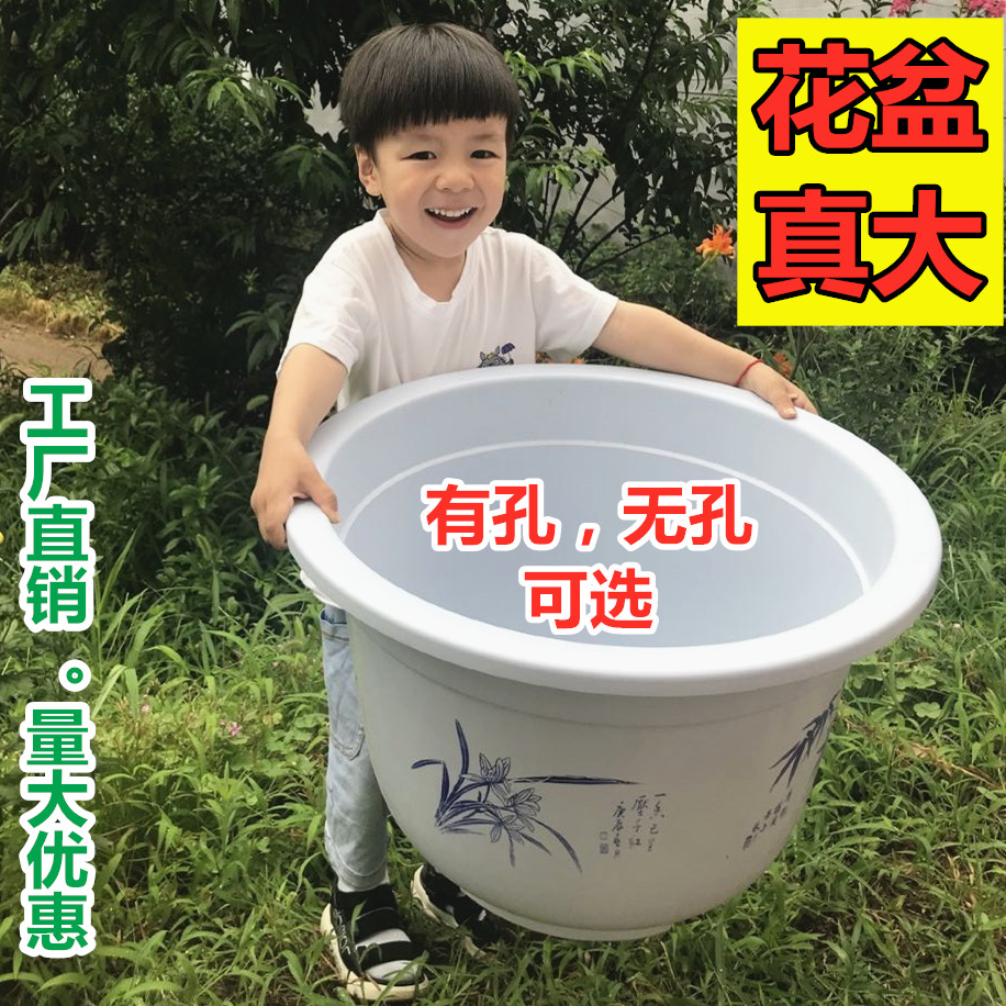 大型花卉绿植睡莲盆栽白色特大号塑料花盆无孔有孔果树盆圆形加厚