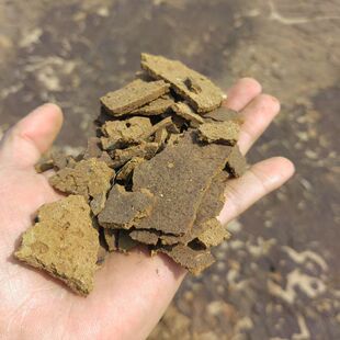 干芝麻饼肥纯芝麻酱香油渣子钓鱼花卉果树蔬菜用有机肥料包邮
