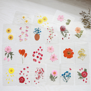 天然植物干花真花塑封手工书签学生朋友创意小奖品礼物