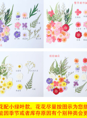 干花妆彩妆用真干花标本材料包带绿叶幼儿园手工创意相框婚纱摄影