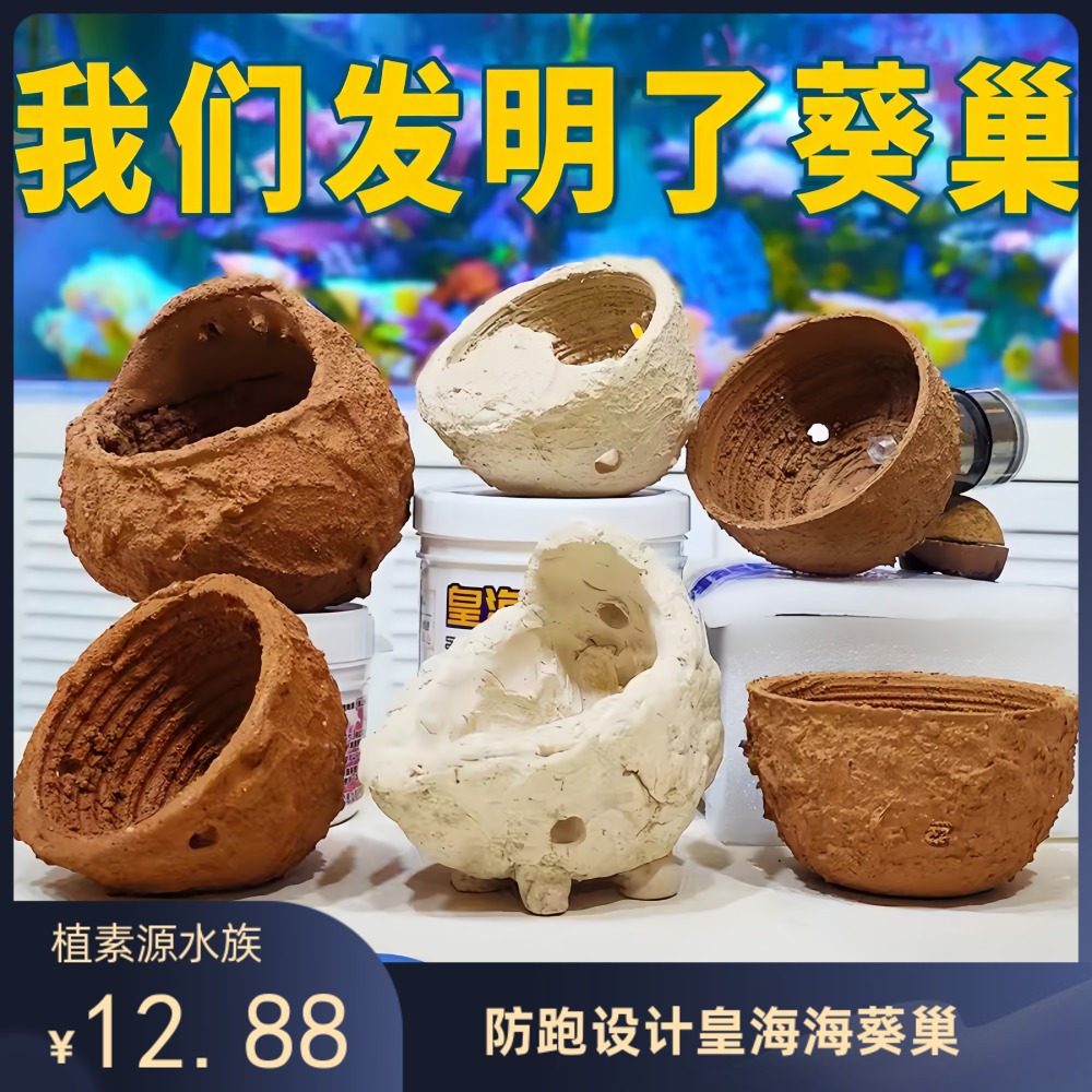 奶嘴海葵巢奶嘴杯防跑神器窝皇海