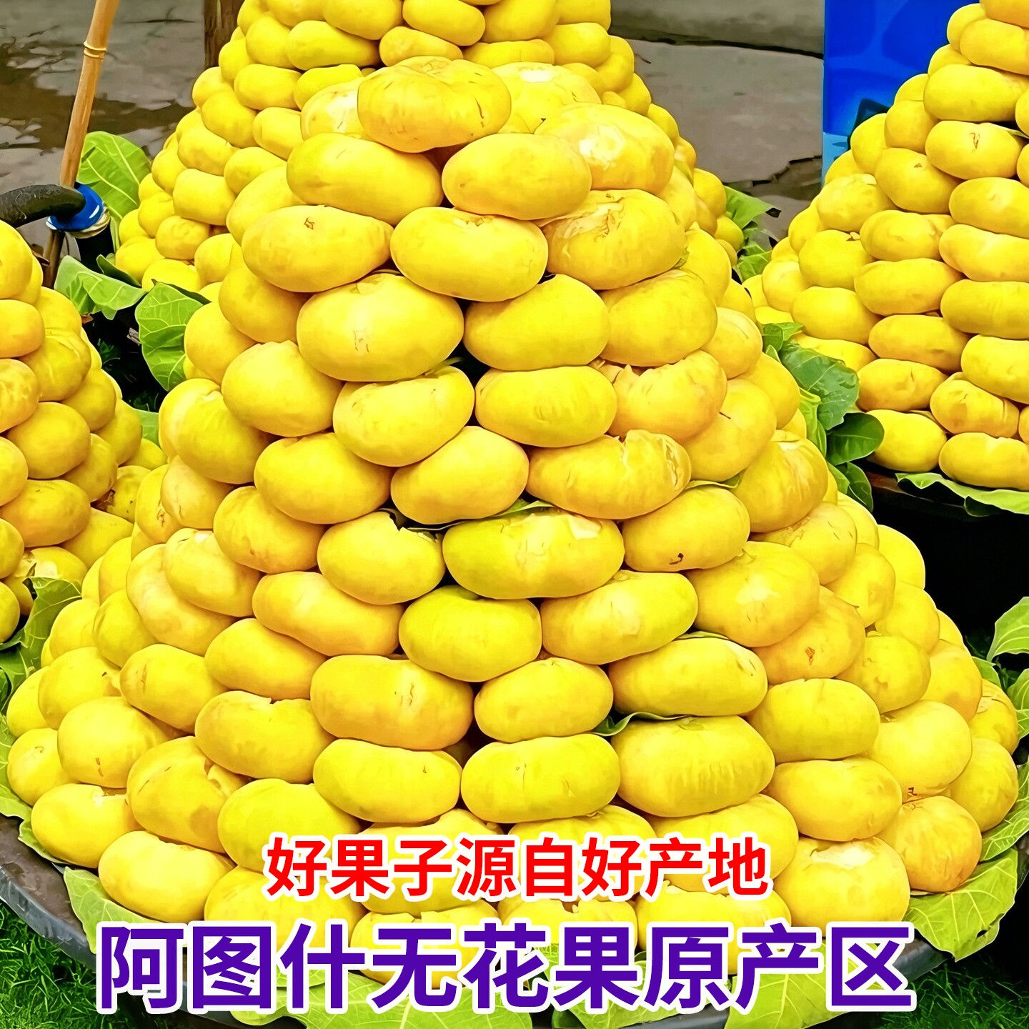 正宗新疆无花果鲜果 阿图什糖包子新鲜水果 应季营养孕妇当季时令