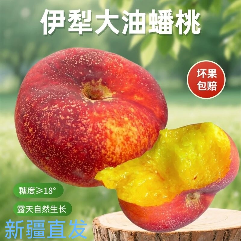 新疆伊犁黄肉大油蟠桃 新鲜水果无毛油桃子当季时令鲜果北疆水果