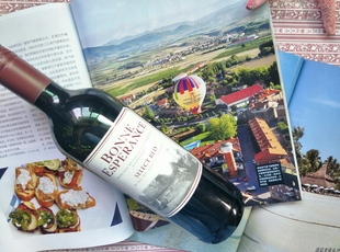 南非原瓶进口 埃斯佩兰斯精选干红葡萄酒750ml小聚必备