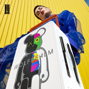 LY狼域黑白熊行李箱女20寸涂鸦拉杆箱欧美旅行箱pc密码 登机箱24寸