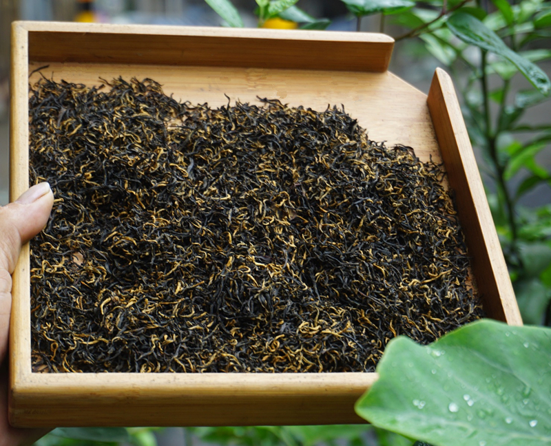 2023年明前新茶 一芽一叶宁红金毫修水红茶 手工自产自销散装500g