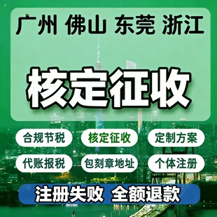 广东广州东莞佛山浙江小额双免定期定额个体户大额个体户核定征收