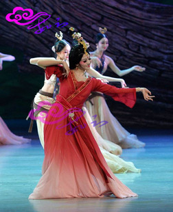 直销茹芸舞台演出服饰古典舞剧昭君出塞舞蹈服装量身定做