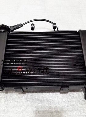 黄龙BJ300GS蓝宝龙BN302TNT水箱总成冷却水箱水箱盖加水盖