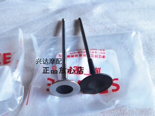 骁750-7幼狮800BJ750GS大魔鬼752S进气门排气门气门油封组件