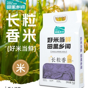 【田里乡间】长粒香大米5kg新米东北新鲜现磨黑龙江产地直发