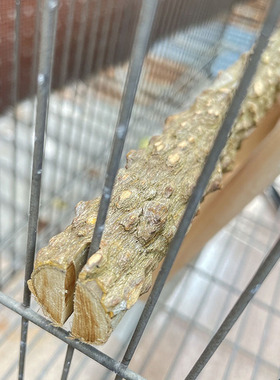 野生花椒木两头开槽鸟站杆双头两端开槽鹩哥八哥鹦鹉画眉磨爪站棍