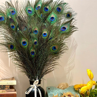云南孔雀毛真孔雀翎孔雀尾羽店铺书房客厅摆件春节装饰品一支起售