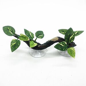 仿真爬宠箱造景植物沙漠雨林蜥蜴陆龟箱植物假绿植亚克力缸箱造景
