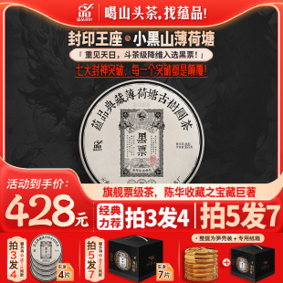 【年度爆品】蕴品2023年《黑票-小黑山薄荷塘》古树普洱生茶357g