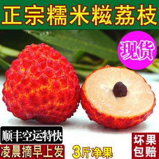 正宗增城糯米糍荔枝新鲜活2026当季水果整箱广东老树荔枝顺丰空运