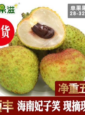 海南妃子笑荔枝10斤新鲜水果当季整箱包邮王孕妇桂现摘早熟荔枝味