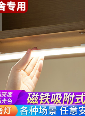 大学生宿舍led长条灯护眼床头磁吸台灯书桌usb阅读酷毙灯管神器