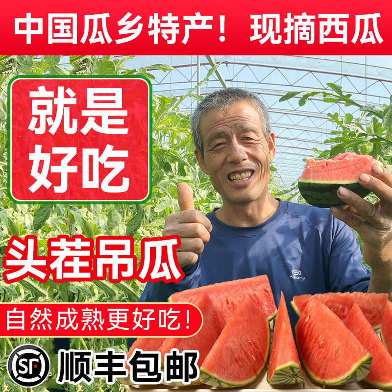 庞各庄小西瓜脆甜沙瓤头茬吊瓜