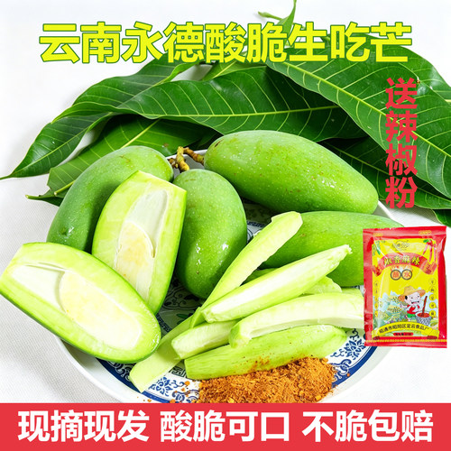 云南酸脆生芒果芽现摘孕妇水果