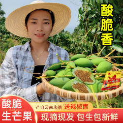 云南现摘酸芒果临沧永德生吃三年芒酸脆泰国生芒果芽新鲜孕妇水果