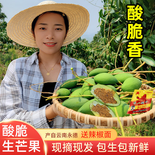 云南酸脆生芒果芽现摘孕妇水果