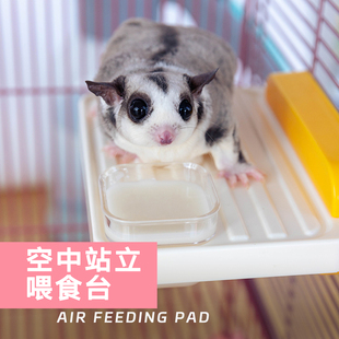 蜜袋鼯空中跳台食盆二合一蜜袋鼬悬挂喂食盆悬挂站台小蜜玩具用品