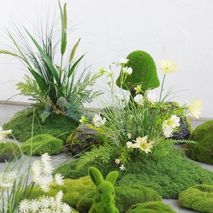 仿真绿植春天色彩花草狗尾巴造景田野植物景观橱窗展厅拍摄装饰