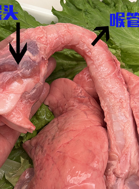 【高品质】新鲜猪肺生鲜带喉头全管食用现杀爆炒腌制风干炖汤
