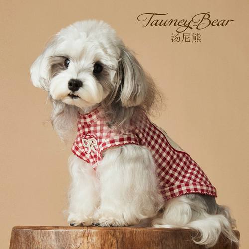 宠物春夏韩系精致红色格子纹