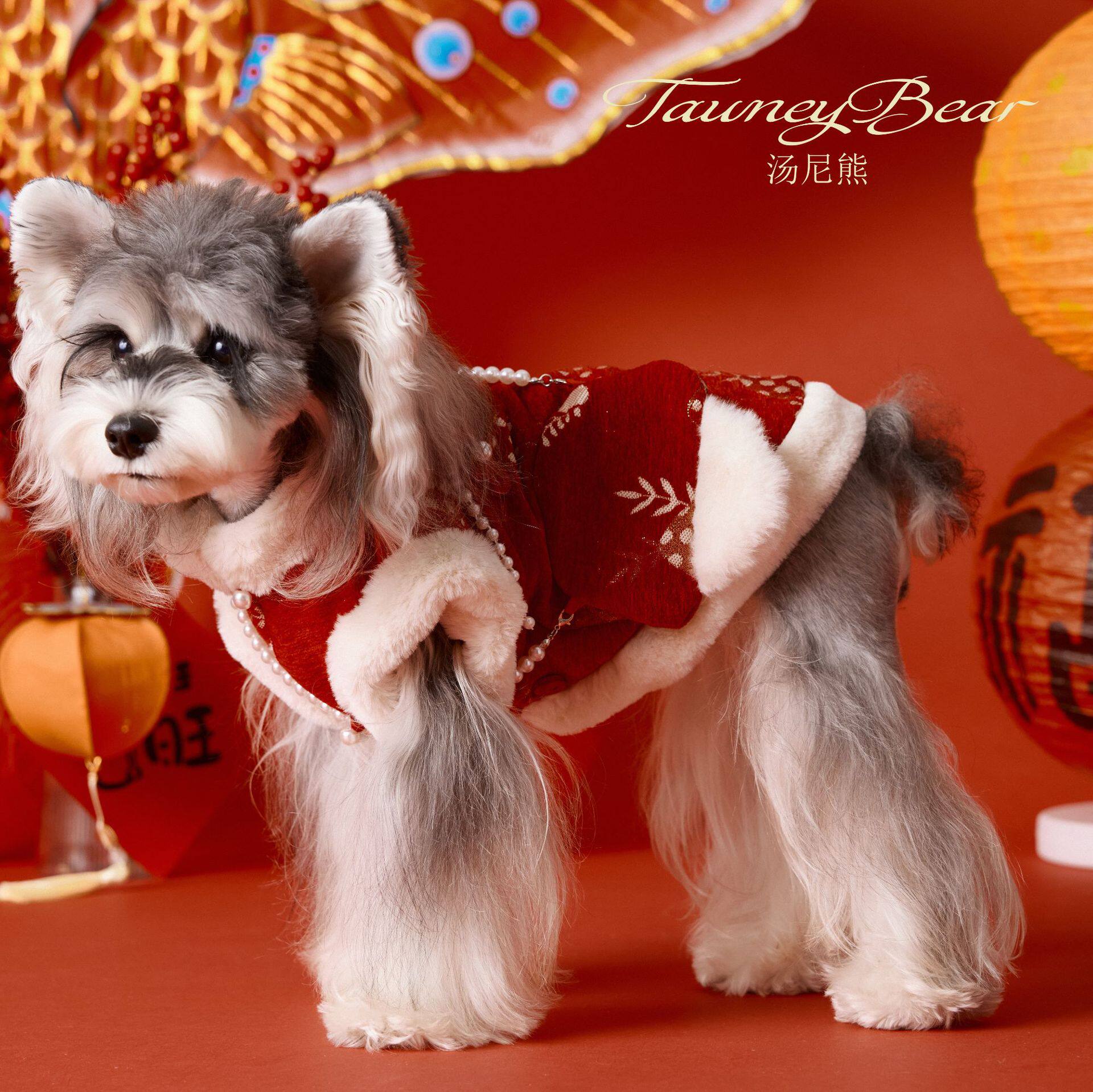 狗狗新年拜年服比熊雪纳瑞泰迪