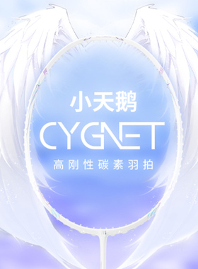 TAAN泰昂羽毛球拍全碳素超轻4U专业耐打轻盈灵活攻防羽拍 小天鹅