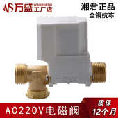 正品 抗冻 黄铜四分螺纹 包邮 有压电磁阀 全国 AC220V湘君电磁阀