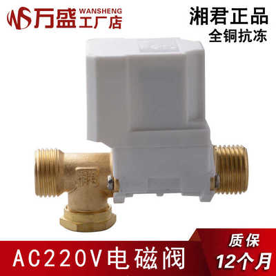 AC220V黄铜抗冻四分螺纹电磁阀