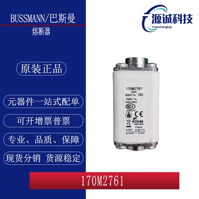 全新现货 巴斯曼 170M2761 170M2761 快速熔断器 询价