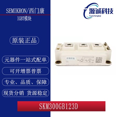 全新现货SKM300GB124D SKM300GB123D SKM300GB125D IGBT模块 询价