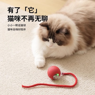 猫咪玩具自动逗猫球自嗨解闷智能逗猫神器消耗体力突突球电动逗狗