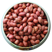 花生仁东北四粒红 农家自产 500克 新花生米 红皮花生